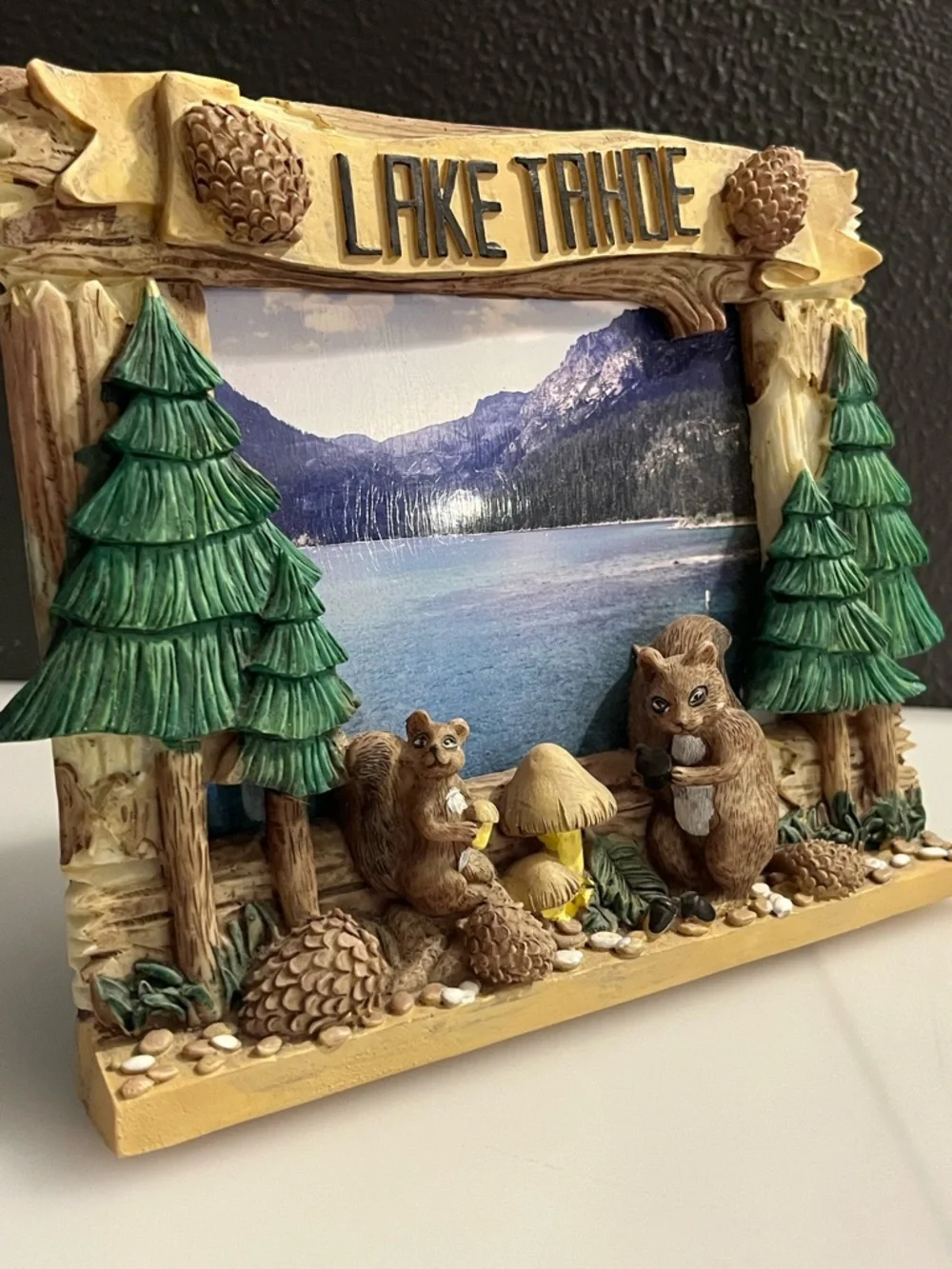 Lake Tahoe Squirrel & Pinecone Resin free-standing 3D Frame - Brown/Green